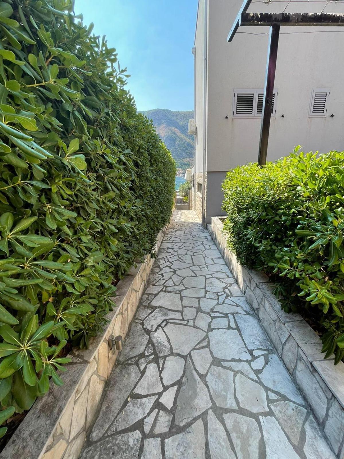 Bjelica Apartments Kotor Dış mekan fotoğraf