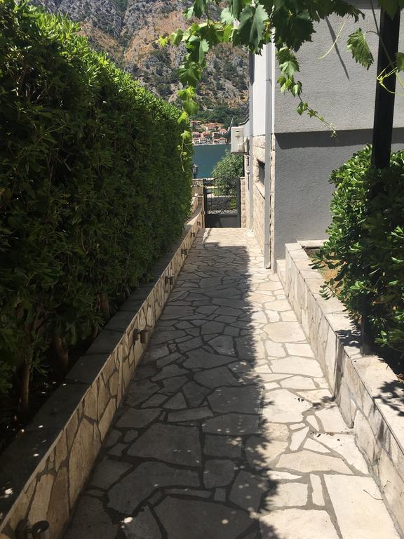 Bjelica Apartments Kotor Dış mekan fotoğraf